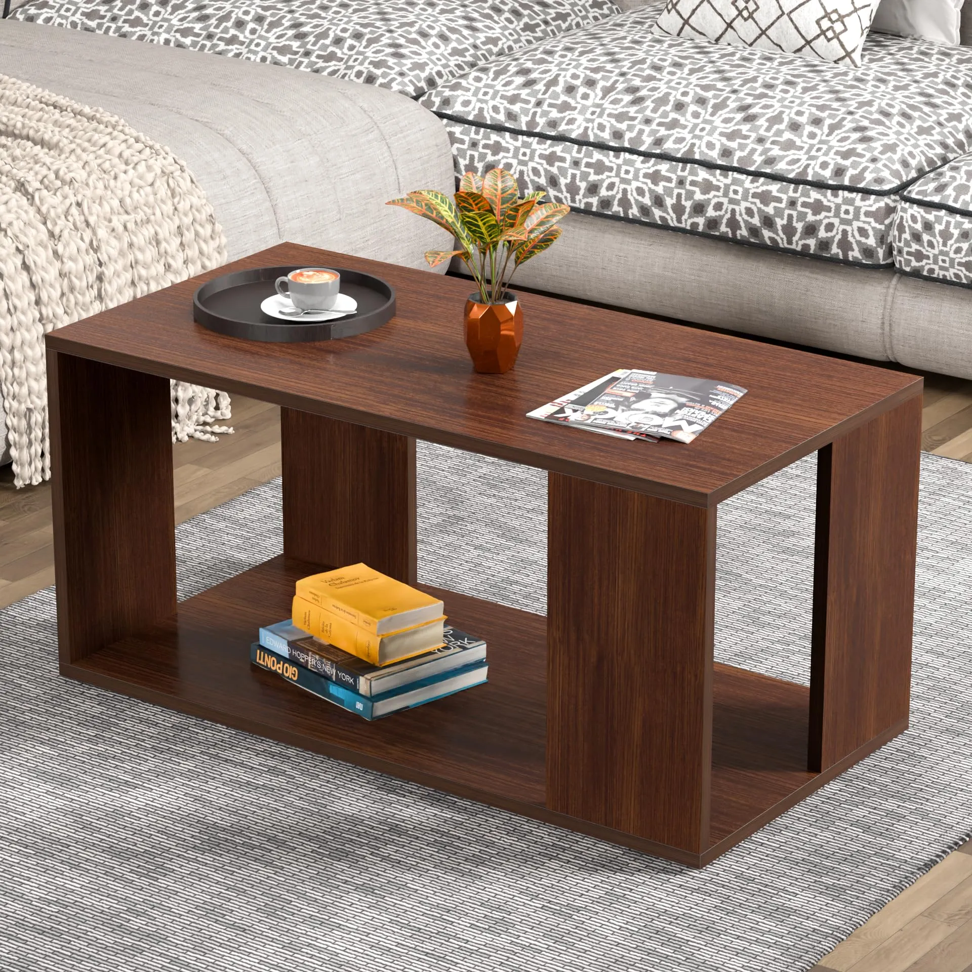 DFC Carrera Engineered Wood Coffee Center Sofa Tea/Teapoy Console Table with Storage for Living Room Home Hall (Oak)