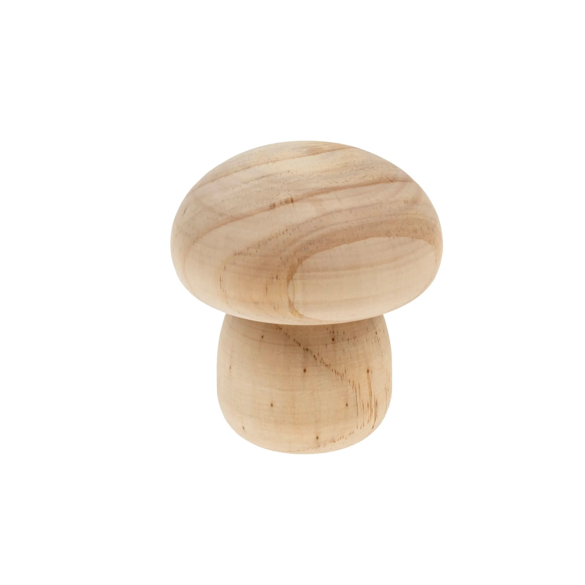 Enchanting Wooden Mushroom