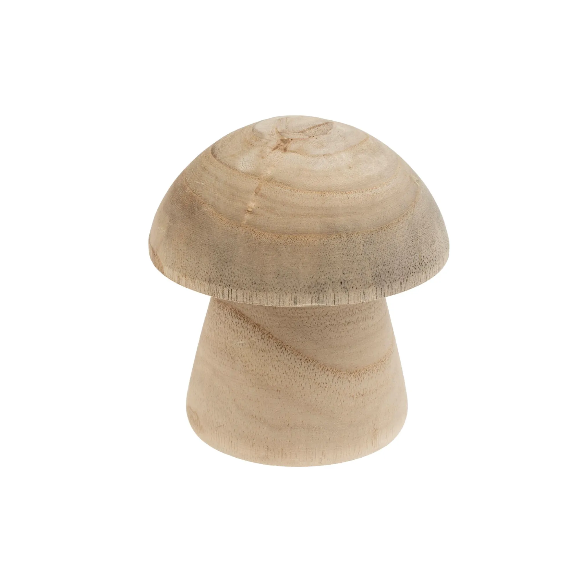 Enchanting Wooden Mushroom