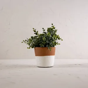 Kacy Planter White