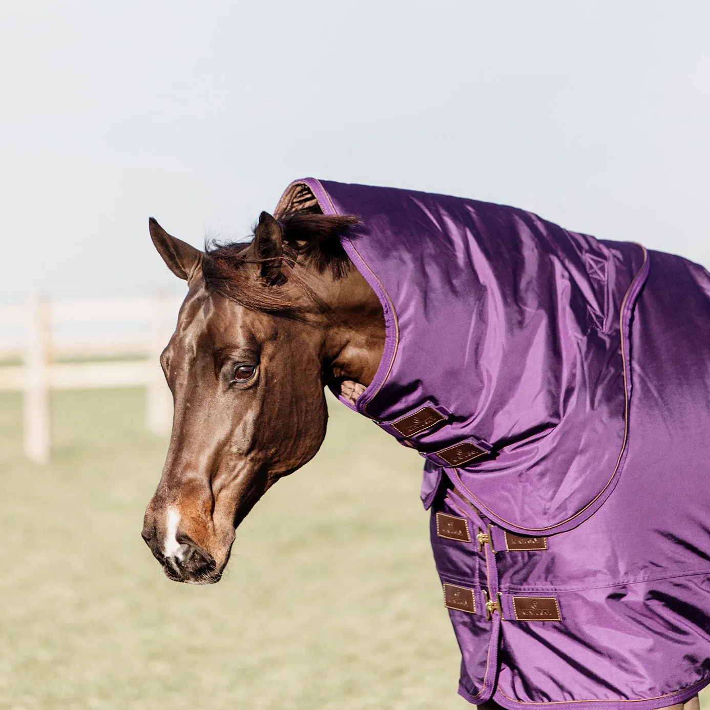 Kentucky Horsewear Pro All Weather Turnout Neck Cover 150g - Royal Purple