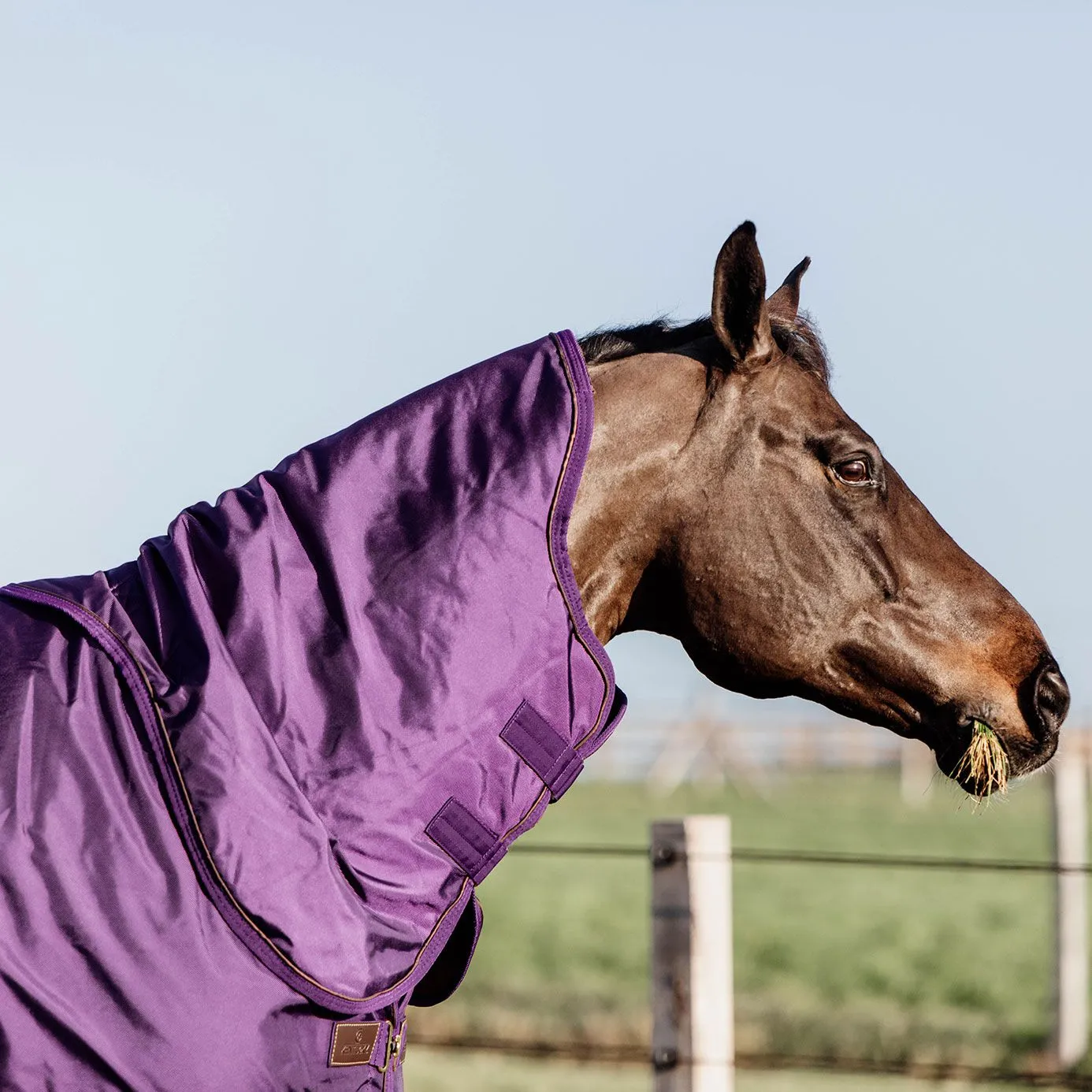 Kentucky Horsewear Pro All Weather Turnout Neck Cover 150g - Royal Purple