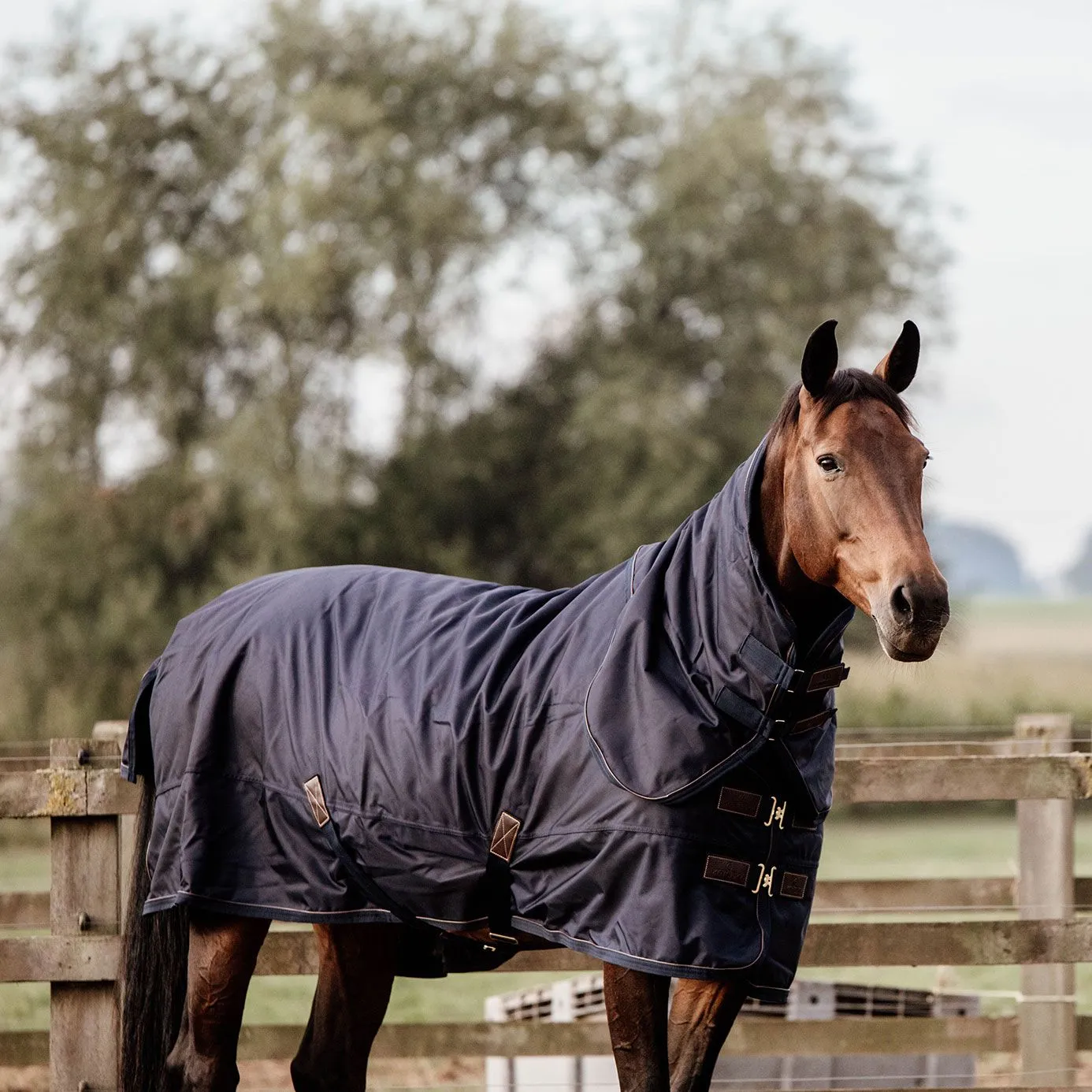 Kentucky Horsewear Pro All Weather Turnout Rug 160g - Navy