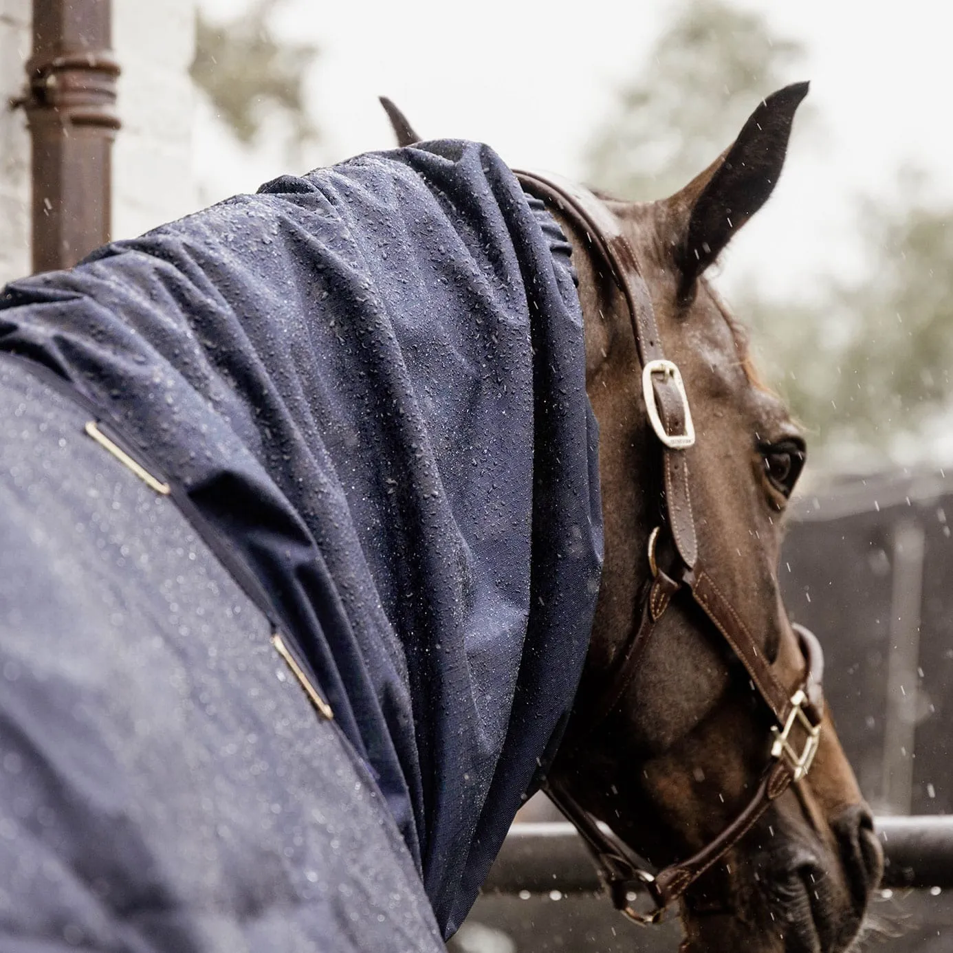 Kentucky Horsewear Waterproof Scarf - Navy