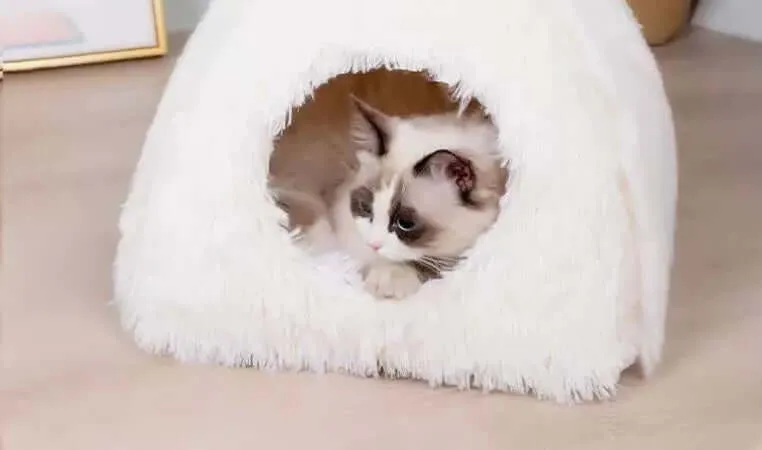 Washable Cat Dog Bed - Cozy Creme Pet Tent